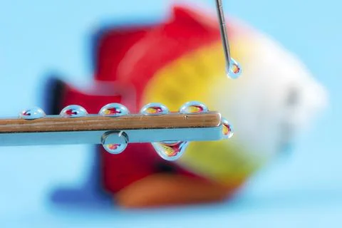 Fish reflections in a drops from a syringe - could be used to illustrate genetic Stock Photos