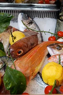 Fish in restaurant Stock Photos