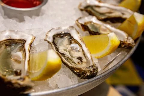 Fish restaurant. Raw oysters on tray with ice Stock Photos