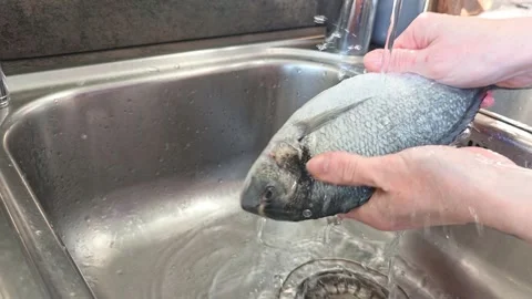 Fish is rinsed under running water in the sink, seafood cleaning process Video stock 340926474