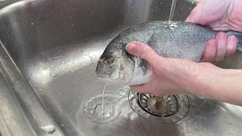 A fish is rinsed under running water in the kitchen sink. Video stock 342747693
