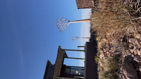 Fish River Canyon in Namibia. Grand Canyon in USA - Arizona, Nevada. Terrace. 스톡 동영상 169103744