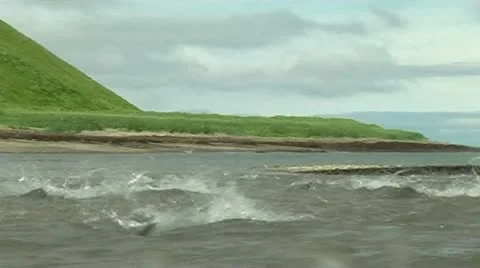 Fish in the river Stock Footage 9026927