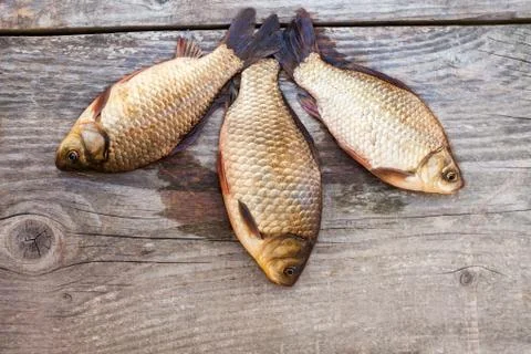 Fish from the river Stock Photos