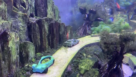 Fish on the road Stock Footage 274237468