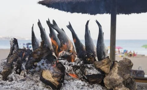 Fish roasting over open fire Stock Photos