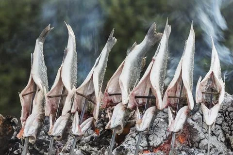 Fish roasting over open fire Stock Photos
