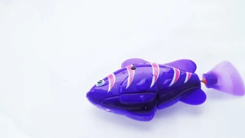 The fish robot swims. Full HD video. Stock Footage 81896668