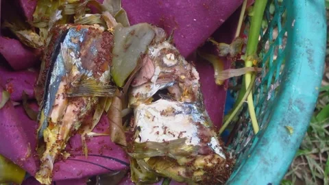 Fish rotting in trash cans Stock Footage 244998655