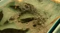 Fish for sale in Hong Kong Market Street, Meat HD Footage
