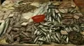 Fish for sale in Hong Kong Market Street, Meat HD Footage