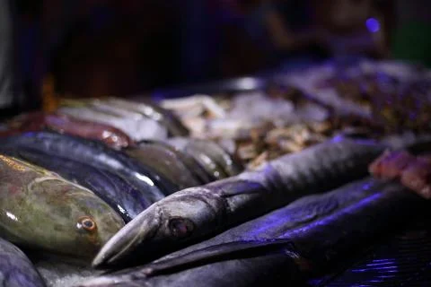 Fish for sale. Stock Photos