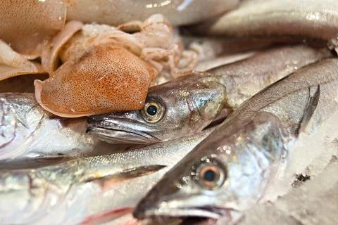 Fish for sale Stock Photos