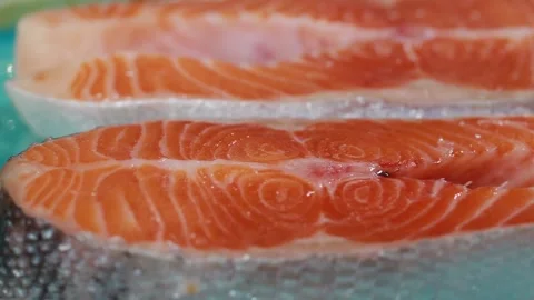 FISH SALMON Stock Footage 152264567