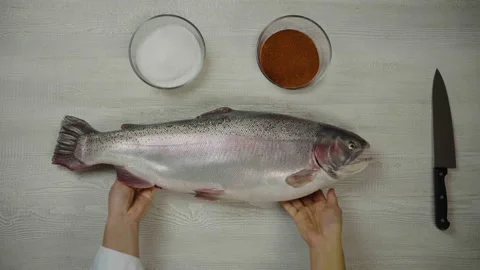 Fish salmon on a light table Stock Footage 143605729
