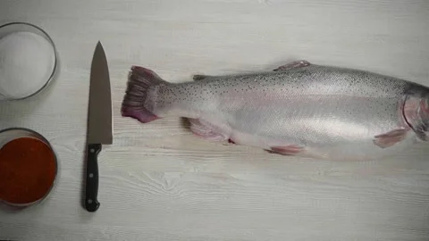Fish salmon on a light table Stock Footage 143624808