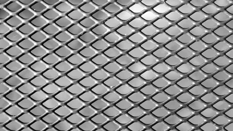 Fish scale animation Stock Footage 151531880