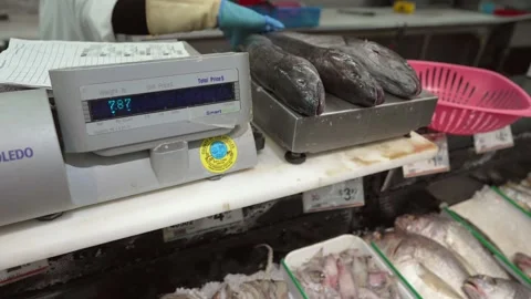 Fish on scale gets weighed and priced fish monger Stock Footage 156864138