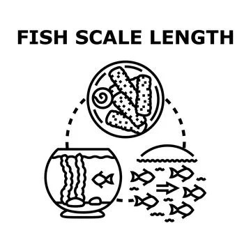 Fish scale length concept representing aquatic life management Stock Illustration