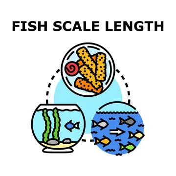Fish scale length concept representing aquatic life management Stock Illustration