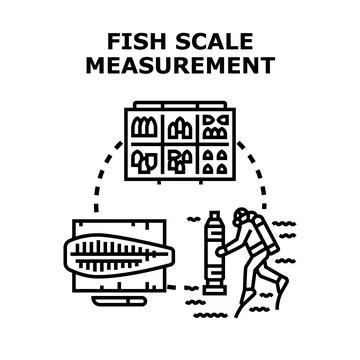 Fish scale measurement process for underwater research Stock Illustration