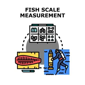 Fish scale measurement process for underwater research Stock Illustration