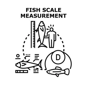 Fish scale measurement research assessing marine life Stock Illustration