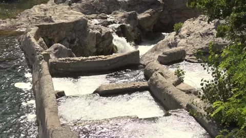 Fish scale in a river in northern Spain - 381 Stock Footage 310795588