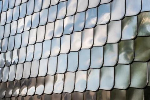 Fish scale texture silver metal shape wall cover chrome reflection background Stock Photos