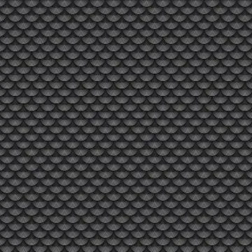 Fish scales from circle lines Foto stock