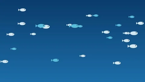 Fish school swimming seamless looping background 4K Vídeo Stock 337062991