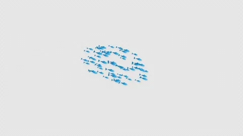 Fish School Swimming Silhouette Loop drifting left to right in a 4K Alpha Stock Footage 346357508