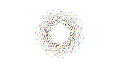 Fish school vortex Stock Footage 146972346