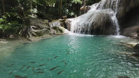 Fish Schooling In Blue Lagoon Beneath Erawan Waterfall Видео 339085022