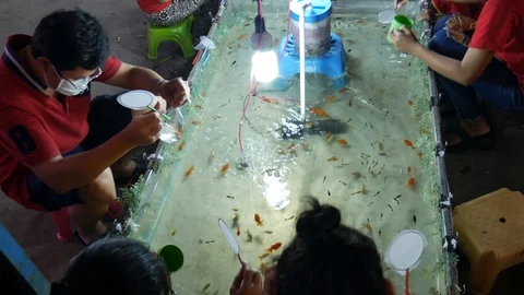 Fish scooping game, Thailand Stock Footage 101673842
