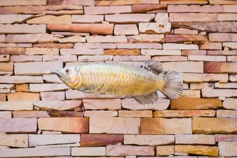 Fish sculpture on the wall Stock Photos