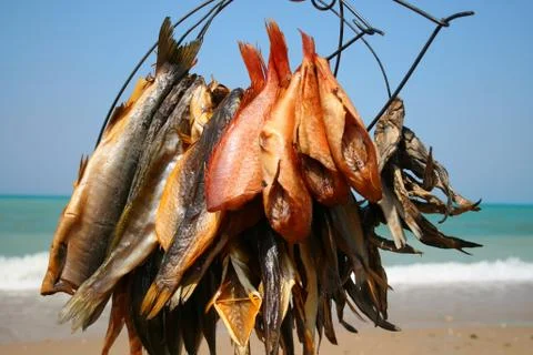 Fish with sea on background Stock Photos