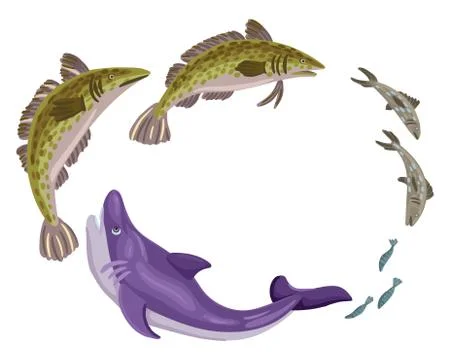 Fish in the sea. Fish feed chain. Shark, perch and sardines. Vector illustration Stock Illustration