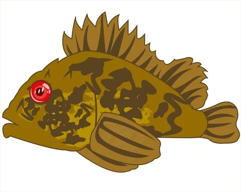 Fish sea ruff on white background is insulated Stock Illustration
