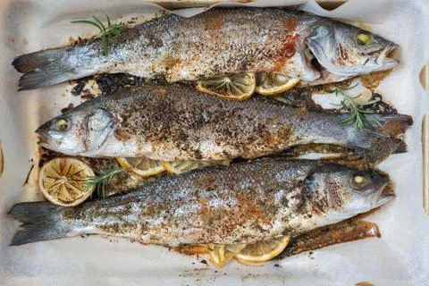 Fish seabass roasted with lemon Stock Photos