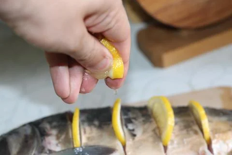 Fish seafood Stock Photos