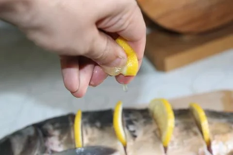 Fish seafood Stock Photos