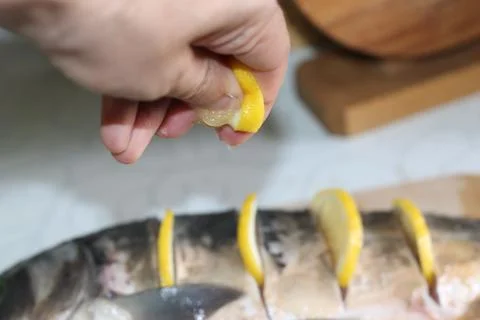 Fish seafood Stock-Fotos