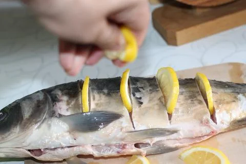 Fish seafood Stock Photos