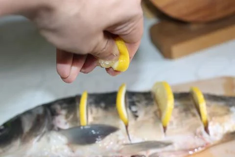 Fish seafood Stock Photos