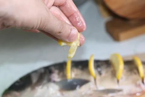 Fish seafood Stock Photos