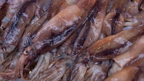 Fish at seamarket Stock Photos