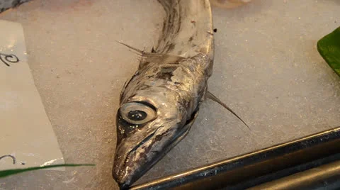 Fish to sell Stock Footage 23372135