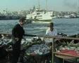 Fish seller stalls by river SD Footage