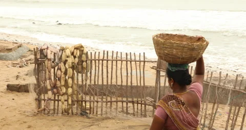 Fish sellers at Harbor Stock Footage 317556390